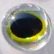 3D Holographic Fish Eyes 5mm